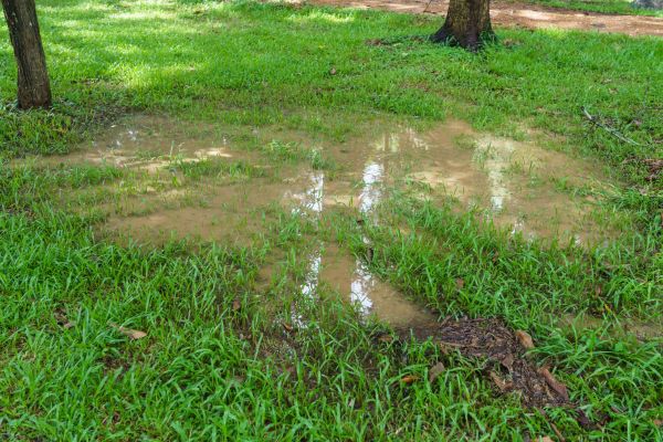 Storm Water Drainage Service in Reston
