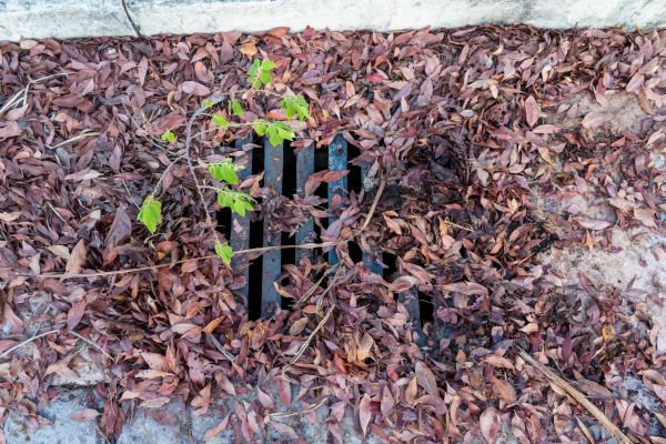 Yard Drain Unclogging in Reston