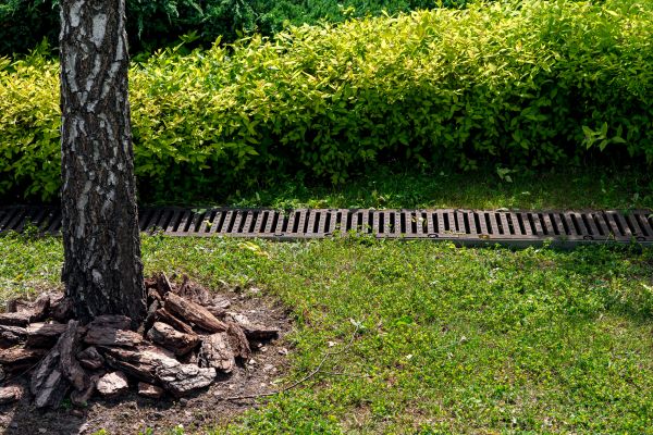 Wet Yard Drainage in Reston
