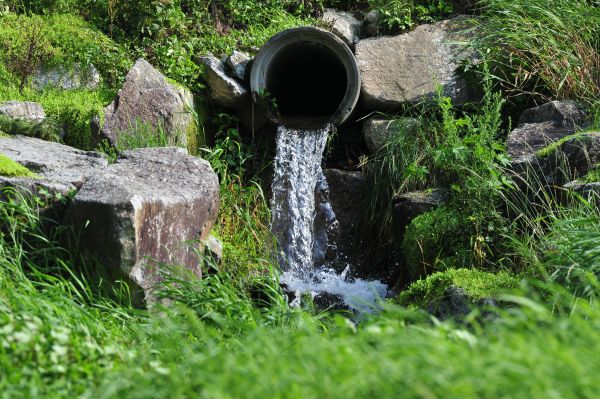 Water Redirection in Reston