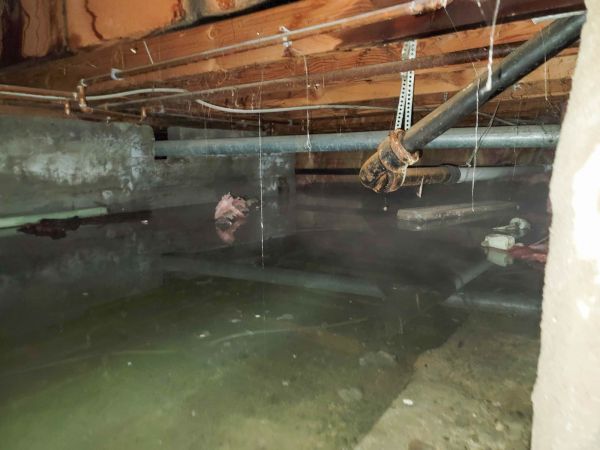 Cost of Crawlspace Drainage in Reston