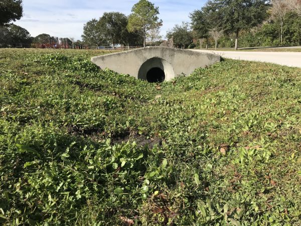 Cost of Swale Drainage Service in Reston